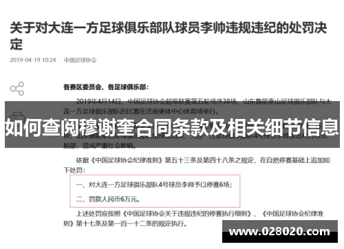 如何查阅穆谢奎合同条款及相关细节信息